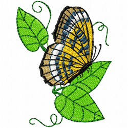 Butterfly Embroidery Design 4